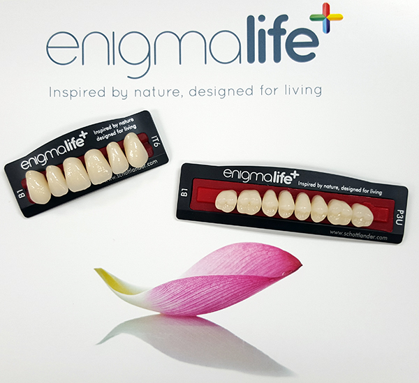 Vecodent > DENTAL LABORATORY > ACRYLIC TEETH