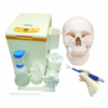 ALGINATE MIXERS & CLINICAL