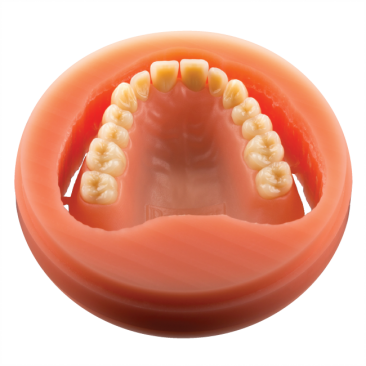 PoliDent PMMA disc Pink Denture Base