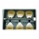 Mestra E2 Boil Out and Processing Unit