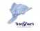 Transform Edentulous Disposable Trays