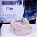 MONOCURE STUDY 1 OR 5 LITRE - INDENT ORDER